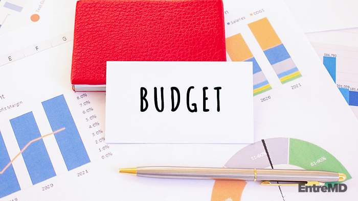 A Budget Audit